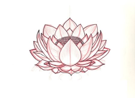Эскизы цветов Лотос
