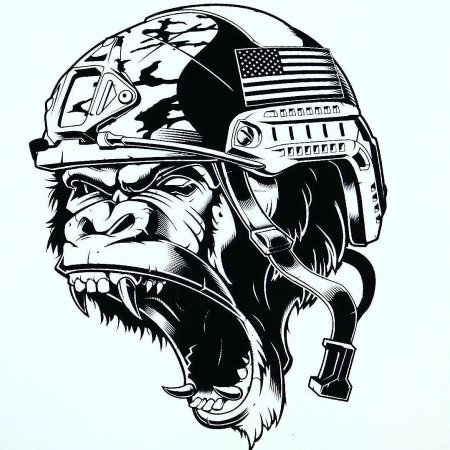 Череп в шлеме