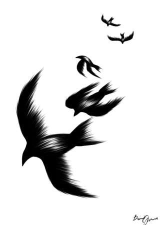 Птица эскиз