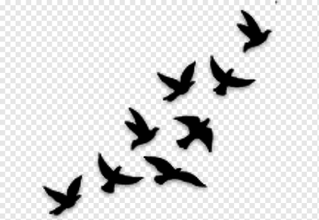 Трафареты для тату птицы