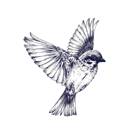 Тату эскизы птицы