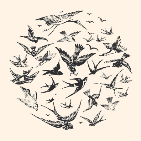 Тату эскизы птицы