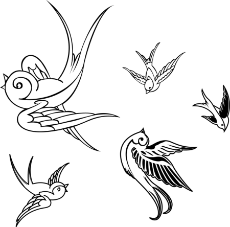 Птичка Графика