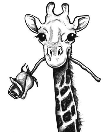 Жираф для срисовки