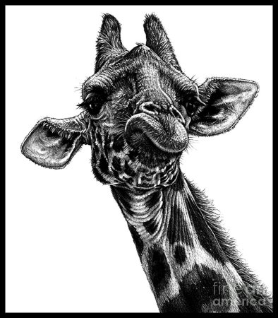 Жираф скетч