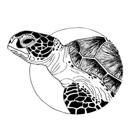 Черепаха рисунок тату