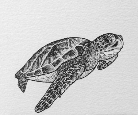 Черепаха дотворк