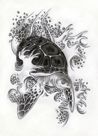 Морская черепаха эскиз