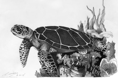 Полинезийская черепаха тату