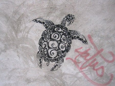 Черепаха Зентангл