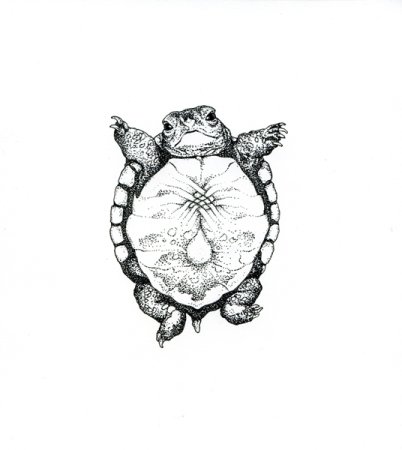 Маори Полинезия черепаха