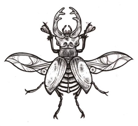 Жук скарабей тату эскизы