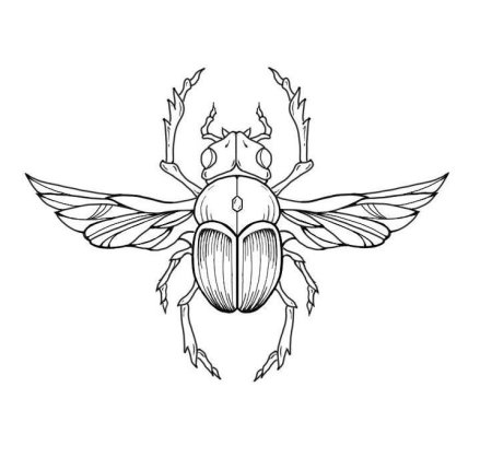 Жук эскиз тату