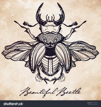 Жук скарабей тату эскизы