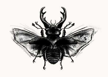 Тату жука чб