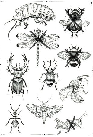 Тату насекомые