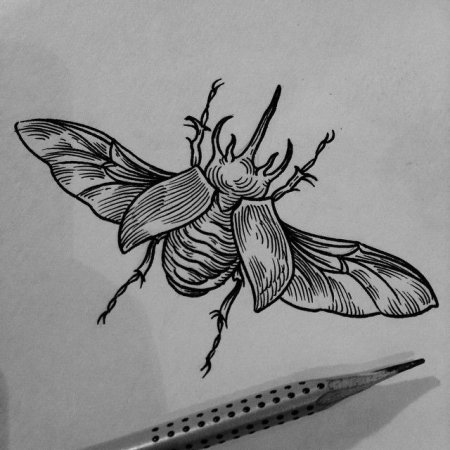 Жук эскиз тату