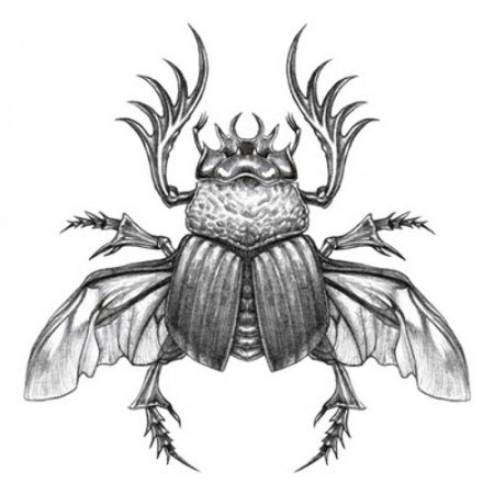 Жук скарабей тату эскизы