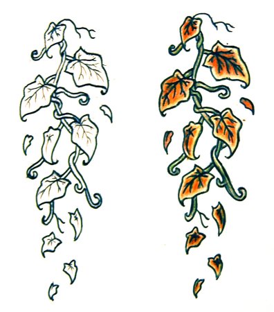 Плющ контур