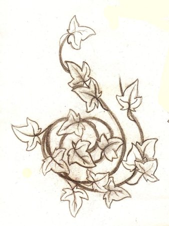 Тату растения эскизы лоза