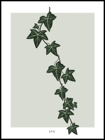 Ядовитый плющ растение тату