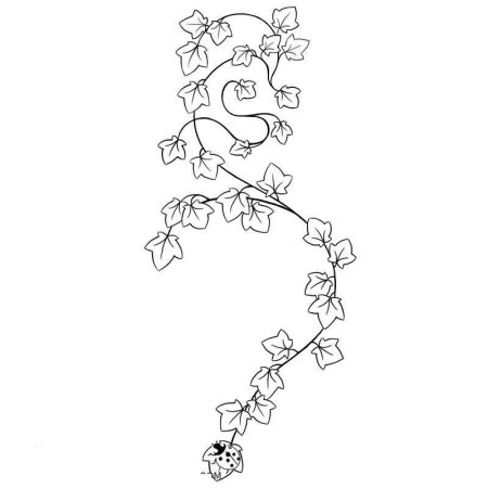 Лианы раскраска