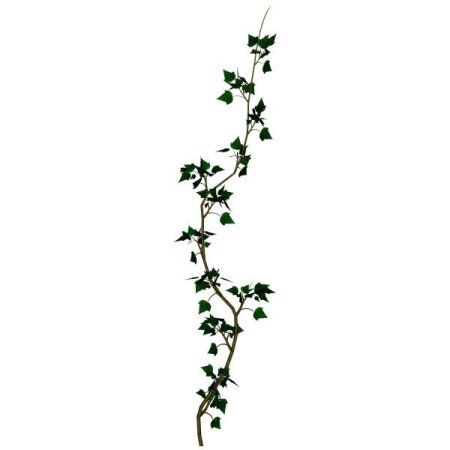 Плющ вокруг столба