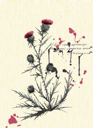 Чертополох растения стилизация