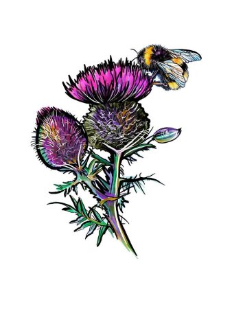 Чертополох ГИСАНЕ