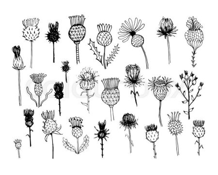 Стилизация колючки