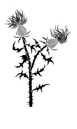 Чертополох растения стилизация