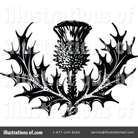 Готический орнамент чертополох