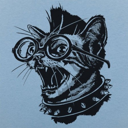 Кот панк