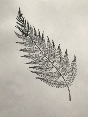 Лист папоротника тату