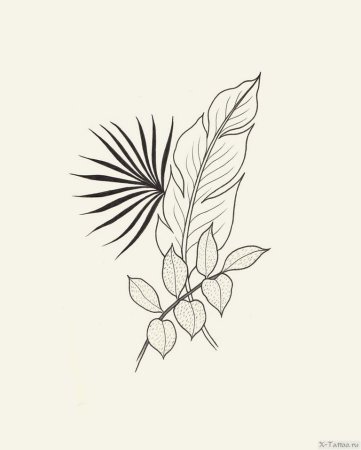 Листья эскиз