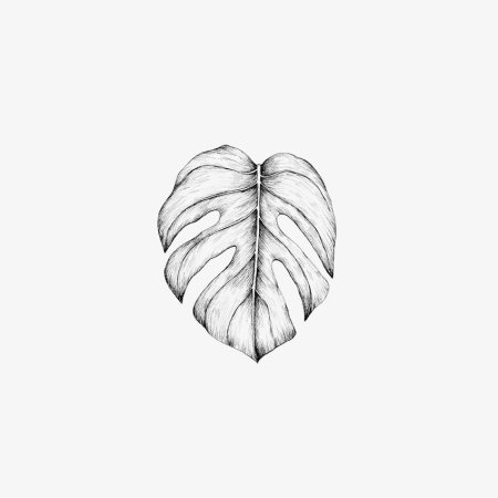 Тату листья эскизы