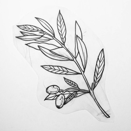 Тату веточка эскиз