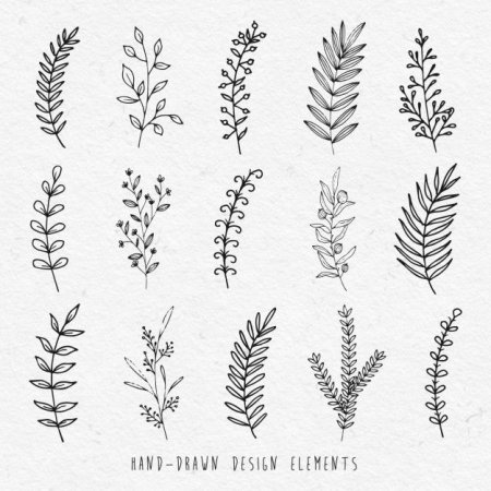 Тату листочки веточки