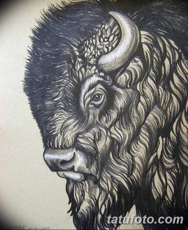 ЗУБР Графика