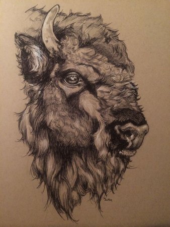 Буйвол тату