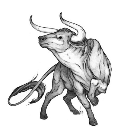 Бык Телец Taurus