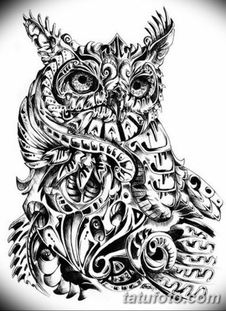 Зентангл Сова эскиз