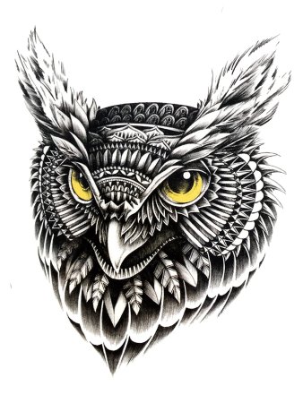 Сова эскиз