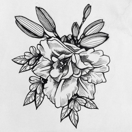 Цветы Графика