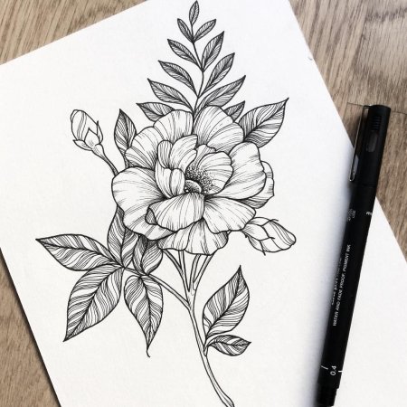 Скетчи цветов