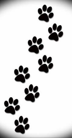 Лапки животных