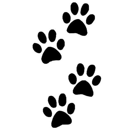 Отпечаток лапы кошки