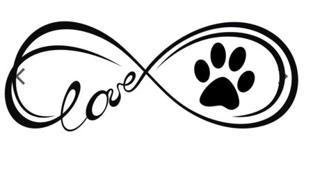 Эскиз лапки