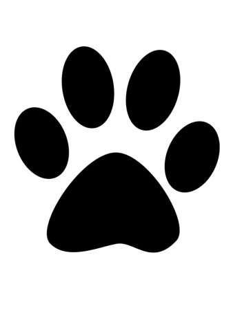 Эскиз лапки собаки
