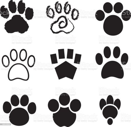 Тату кошачьи лапки эскиз